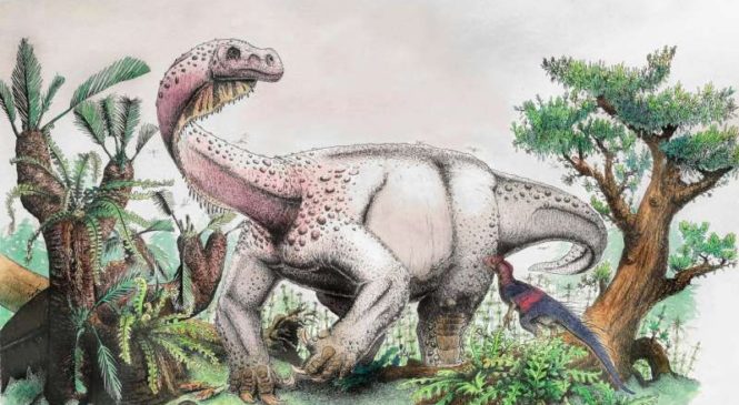 В ЮАР найден новый гигантский динозавр